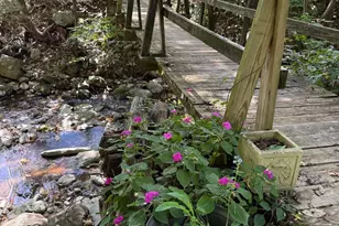 2960 Beech Grove Rd, Roseland, VA 22967 - Photo 3