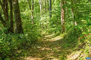 2960 Beech Grove Rd, Roseland, VA 22967 - Photo 63