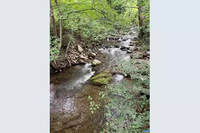 2960 Beech Grove Rd, Roseland, VA 22967 - Photo 69