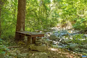 2960 Beech Grove Rd, Roseland, VA 22967 - Photo 55