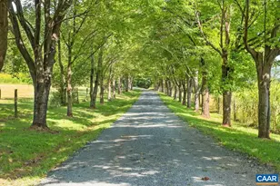 8540 Taylor Creek Rd, Afton, VA 22920 - Photo 71