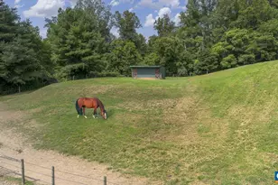 9195 Springwood Rd, Buchanan, VA 24066 - Photo 23