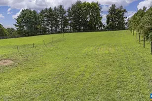 9195 Springwood Rd, Buchanan, VA 24066 - Photo 17