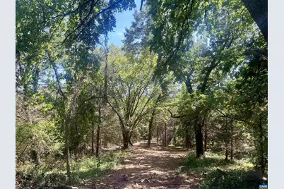 1630 Buck Rd, Crozet, VA 22932 - Photo 23