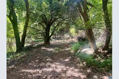 1630 Buck Rd, Crozet, VA 22932 - Photo 25