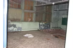 29406 N James Madison Hwy, Arvonia, VA 23004 - Photo 17