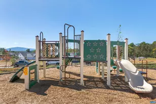 5986 Cling Ln, Crozet, VA 22932 - Photo 23