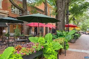 408 E Market St, Charlottesville, VA 22902 - Photo 19