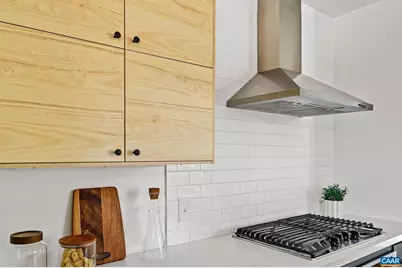 1130 E High St #J, Charlottesville, VA 22902 - Photo 7