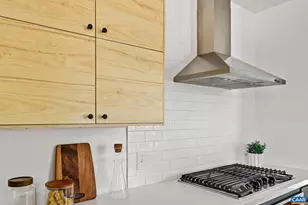 1130 E High St, Charlottesville, VA 22902 - Photo 7