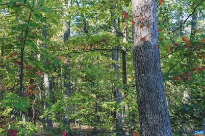 6308 Jefferson Mill Rd, Scottsville, VA 24590 - Photo 33