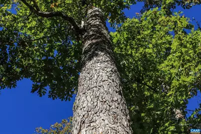 6308 Jefferson Mill Rd, Scottsville, VA 24590 - Photo 35