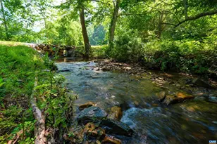 4375 Taylor Creek Rd, Afton, VA 22920 - Photo 11