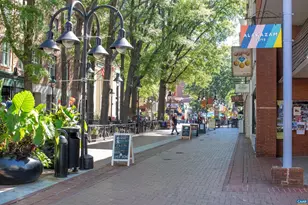 253 E Jefferson St, Charlottesville, VA 22902 - Photo 25