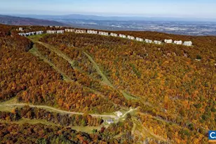 208 Timbers Condos, Wintergreen Resort, VA 22967 - Photo 17