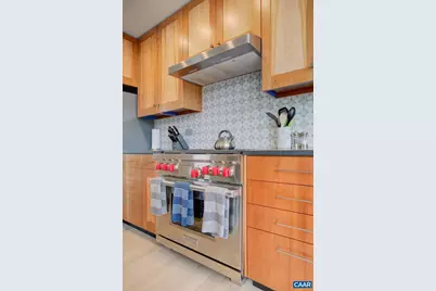 550 Water St #201, Charlottesville, VA 22902 - Photo 17