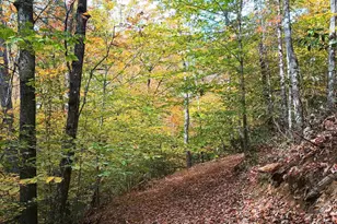 125 Riverbreeze Ct, Howardsville, VA 24562 - Photo 51