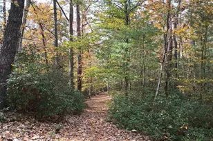 125 Riverbreeze Ct, Howardsville, VA 24562 - Photo 55