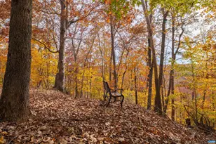 125 Riverbreeze Ct, Howardsville, VA 24562 - Photo 47