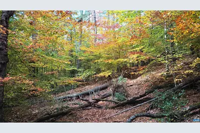 125 River Breeze Ct, Howardsville, VA 24562 - Photo 53