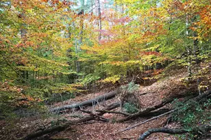 125 Riverbreeze Ct, Howardsville, VA 24562 - Photo 53