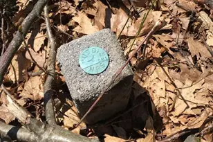 16903 Blue Ridge Pkwy, Lyndhurst, VA 22952 - Photo 17