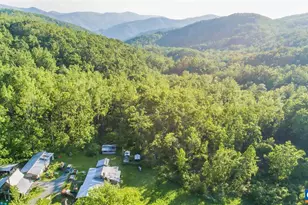 16903 Blue Ridge Pkwy, Lyndhurst, VA 22952 - Photo 29