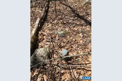 16903 Blue Ridge Pkwy, Lyndhurst, VA 22952 - Photo 19