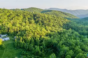 16903 Blue Ridge Pkwy, Lyndhurst, VA 22952 - Photo 31