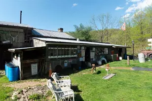 16903 Blue Ridge Pkwy, Lyndhurst, VA 22952 - Photo 9