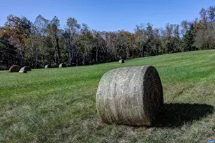 4710 Dickerson Rd, Charlottesville, VA 22911 - Photo 69