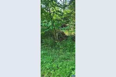 12 Langdon Woods Dr, Dyke, VA 22935 - Photo 55