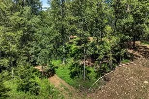 12 Langdon Woods Dr, Dyke, VA 22935 - Photo 67