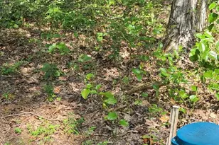 12 Langdon Woods Dr, Dyke, VA 22935 - Photo 57