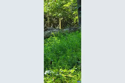 12 Langdon Woods Dr, Dyke, VA 22935 - Photo 49