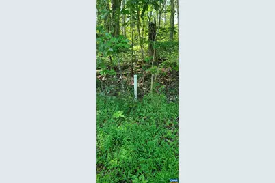 12 Langdon Woods Dr, Dyke, VA 22935 - Photo 53