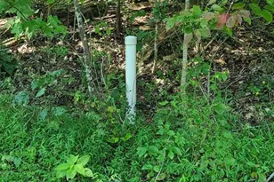 12 Langdon Woods Dr, Dyke, VA 22935 - Photo 53