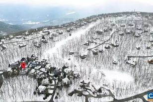 18 Trillium Close, Wintergreen, VA 22967 - Photo 29