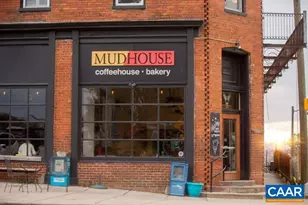 3035 Rambling Brk Ln, Crozet, VA 22932 - Photo 43