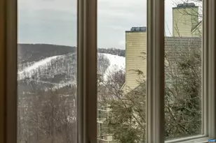 1802 High Ridge Ct Condos, Wintergreen Resort, VA 22967 - Photo 9