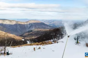 1411 Highlands Condos, Roseland, VA 22967 - Photo 19