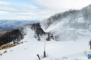 1411 Highlands Condos, Roseland, VA 22967 - Photo 49