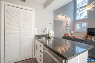 485 Three Ridges Condos, Wintergreen Resort, VA 22967 - Photo 21