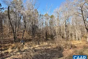 2080 Proffit Station Rd, Charlottesville, VA 22911 - Photo 21