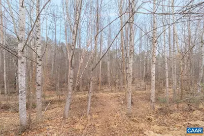 3262 Turnberry Cir, Charlottesville, VA 22911 - Photo 49