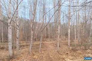 3262 Turnberry Cir, Charlottesville, VA 22911 - Photo 49