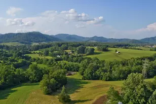 294 & 262 Freshwater Cove Ln, Lovingston, VA 22949 - Photo 75