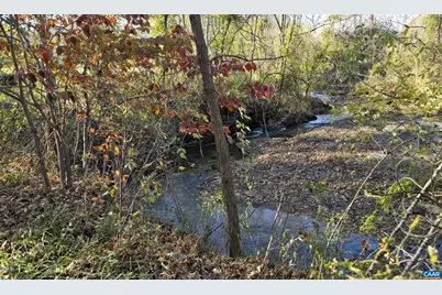 294 & 262 Freshwater Cove Ln, Lovingston, VA 22949 - Photo 71