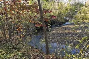 294 & 262 Freshwater Cove Ln, Lovingston, VA 22949 - Photo 71