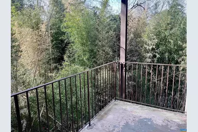 511 N First St #201, Charlottesville, VA 22902 - Photo 13